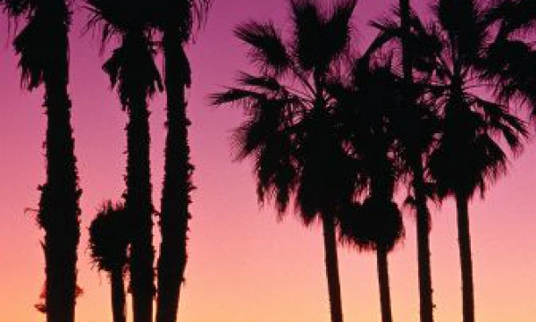 Продам ботинки Продам ботинки