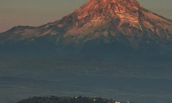 Продам пиджак Продам пиджак